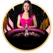 toon boom Bingo